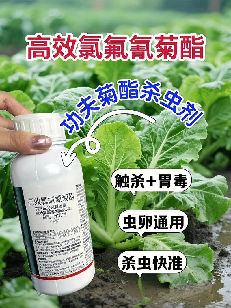 崇明代生中心:农药对供卵代生妈妈的危害